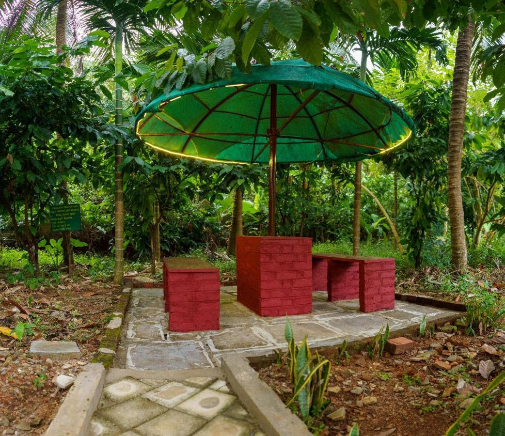 Jasmine Land Homestay Udupi Kültér fotó