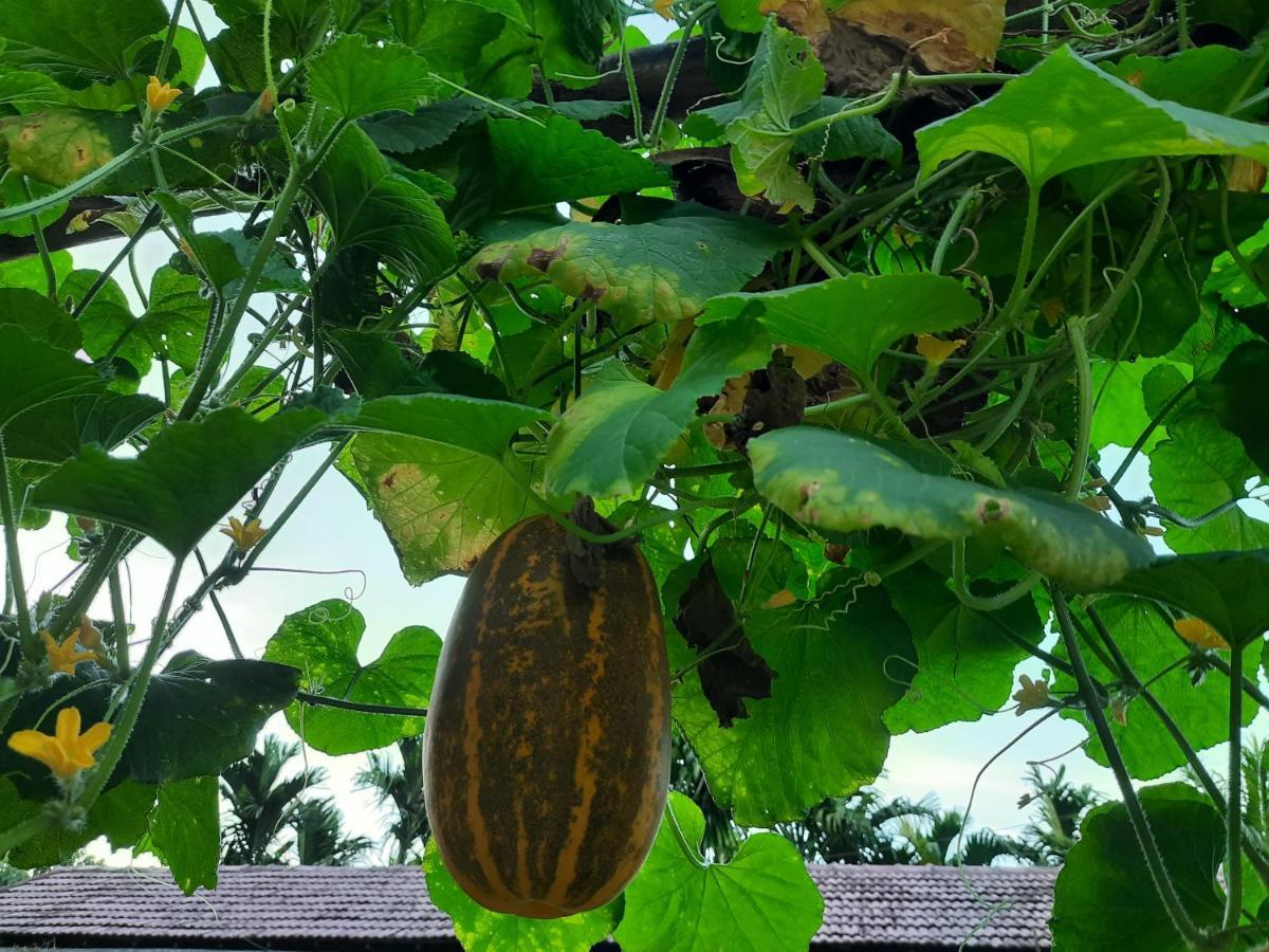 Jasmine Land Homestay Udupi Kültér fotó